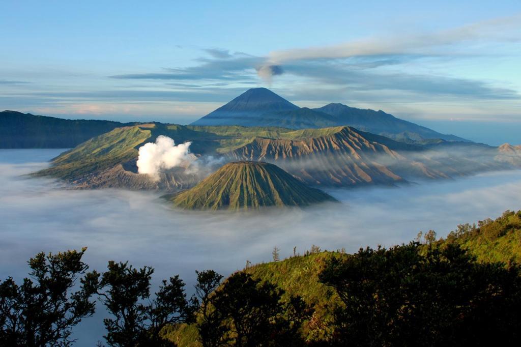 Hotel Lereng Bromo Pasuruan Buitenkant foto